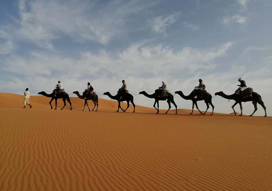 Merzouga Desert: 3-Day Desert Tour from Marrakech - Day three: sunrise, breakfast, and the long return