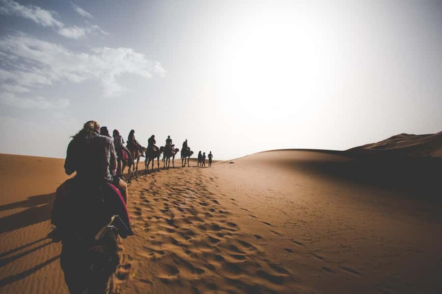 Merzouga Overnight Stay in a Berber Tent and Camel Ride - Your tent, dinner, and the evening fire