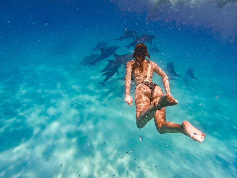 Mnemba Island: Dolphin Swim & Snorkeling with Optional Lunch - Why Mnemba dolphins draw such a crowd