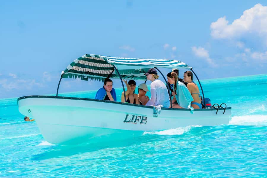 Mnemba Island: Dolphin Swim & Snorkeling with Optional Lunch - White sand, fruit, and the optional lunch