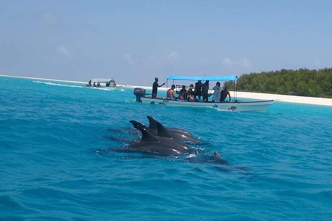 Mnemba Island snorkeling and Swimming with Dolphin - Guides, boats, and the feel of the outing