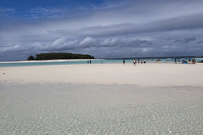 Mnemba Island snorkeling and Swimming with Dolphin - Is $55 good value?