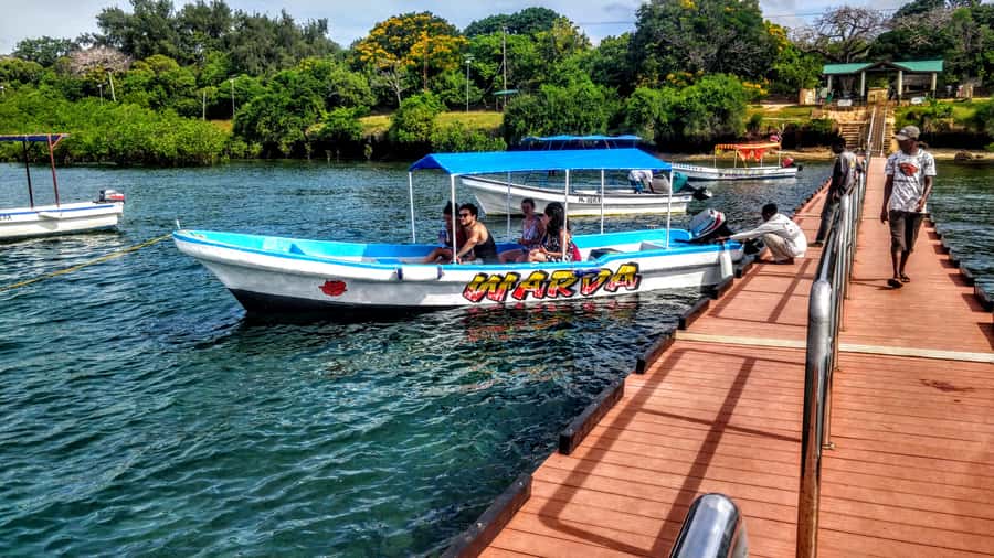 Mombasa: Kisite Park Private Cruise with Breakfast and Lunch - What this Kisite day is really like