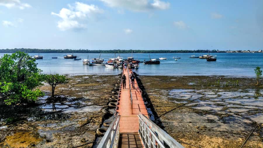 Mombasa: Kisite Park Private Cruise with Breakfast and Lunch - Boarding the boat and finding dolphins