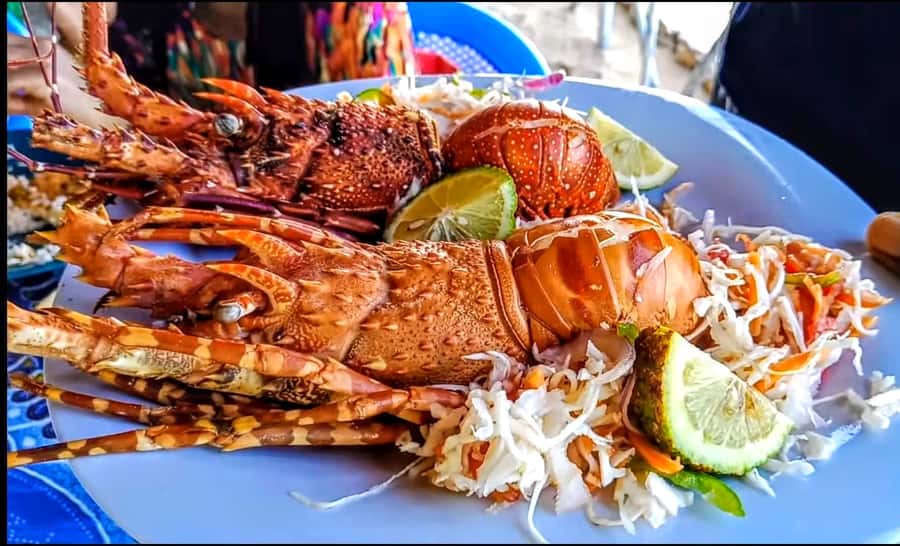 Mombasa: Kisite Park Private Cruise with Breakfast and Lunch - Lunch and village life on Wasini Island