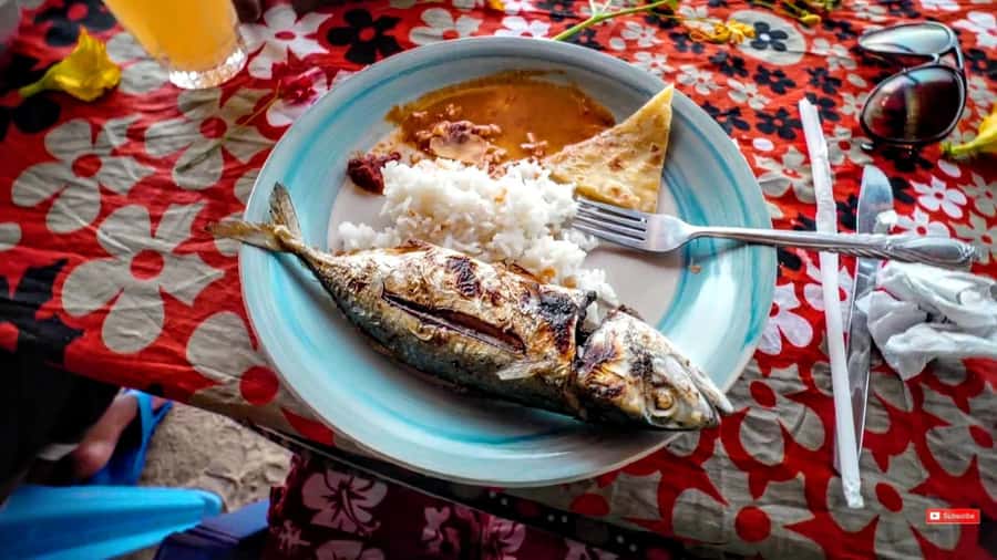 Mombasa: Kisite Park Private Cruise with Breakfast and Lunch - Guides, safety, and the private format
