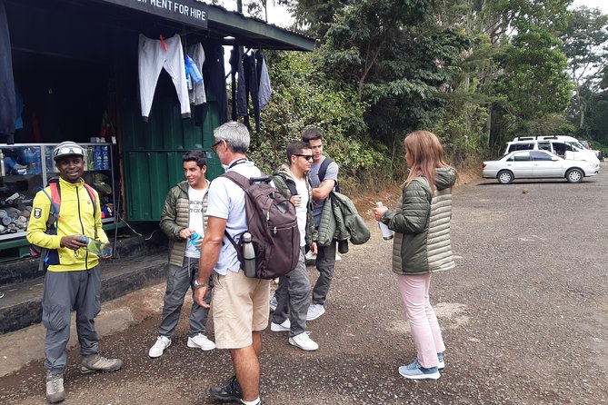 Mountain Kilimanjaro Day Hike - The descent can be easier, but it is still long