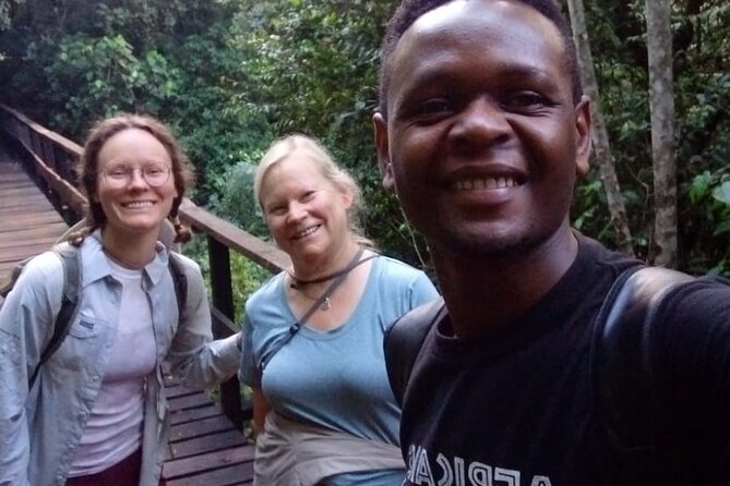Mountain Kilimanjaro Day Hike - Who should book this experience?