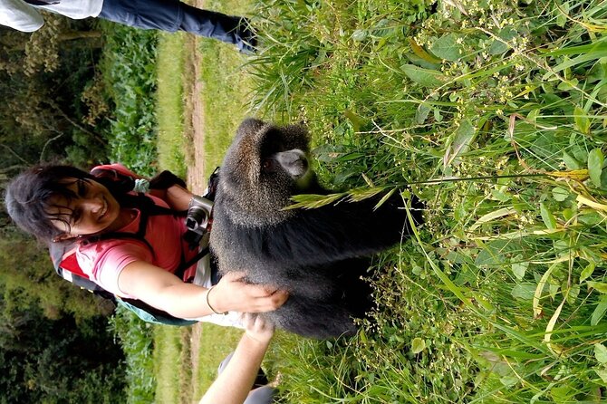 Mountain Kilimanjaro Day Hike - From Arusha or Moshi to Marangu Gate