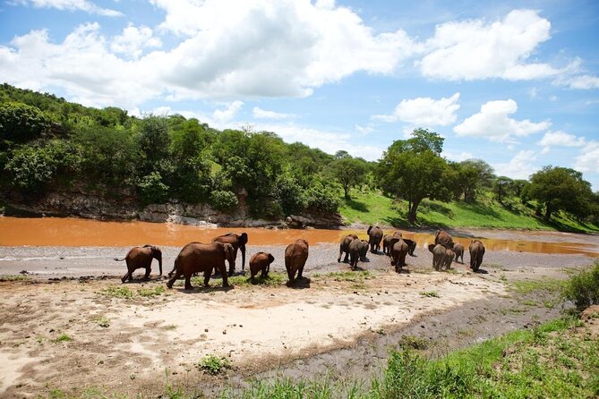 Multi-Day Tanzania Odssey Safari from Arusha - Key points at a glance