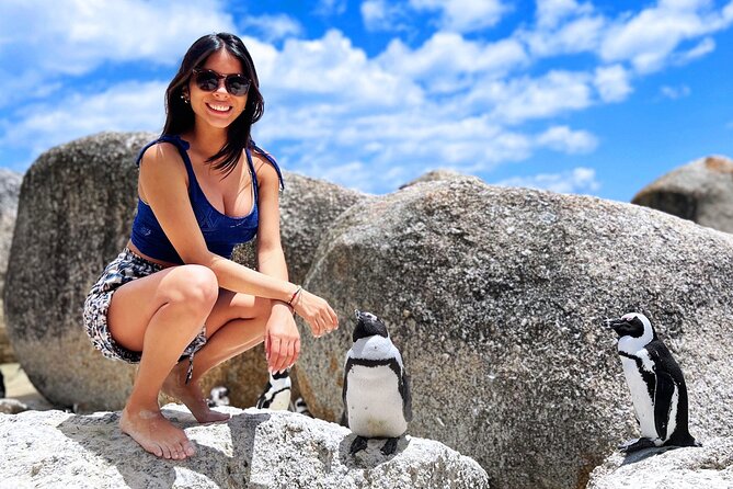 MUST DO: Boulders Beach & Cape Point Full Day Tour #1 Rated - Starting early along the Atlantic Seaboard