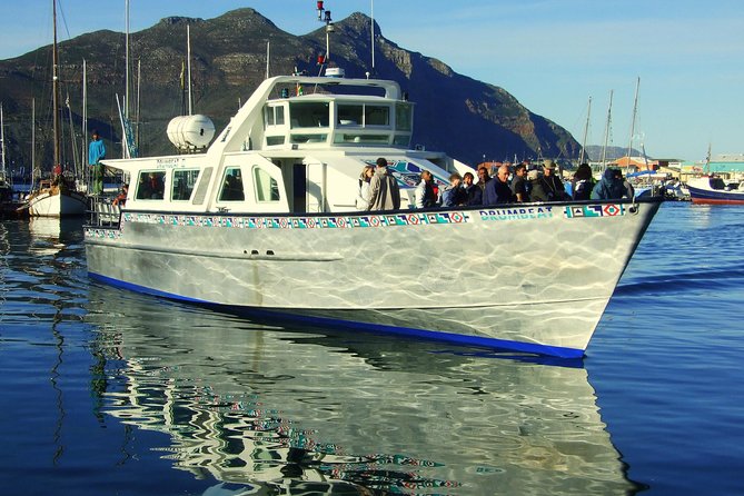 MUST DO: Boulders Beach & Cape Point Full Day Tour #1 Rated - Cape Point Nature Reserve and the lighthouse walk