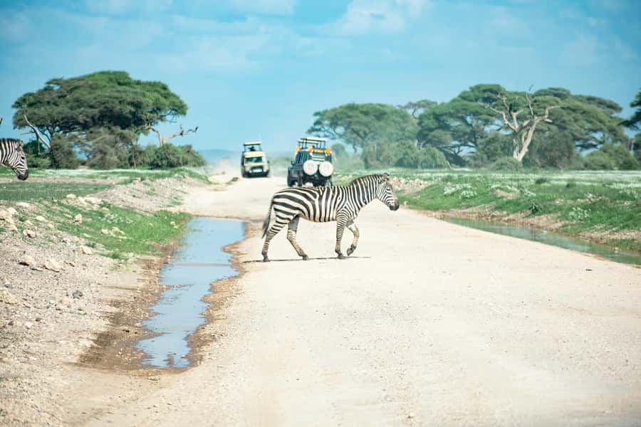 Nairobi: Day Tour to Amboseli National Park & Maasai Village - Kilimanjaro views depend on the weather