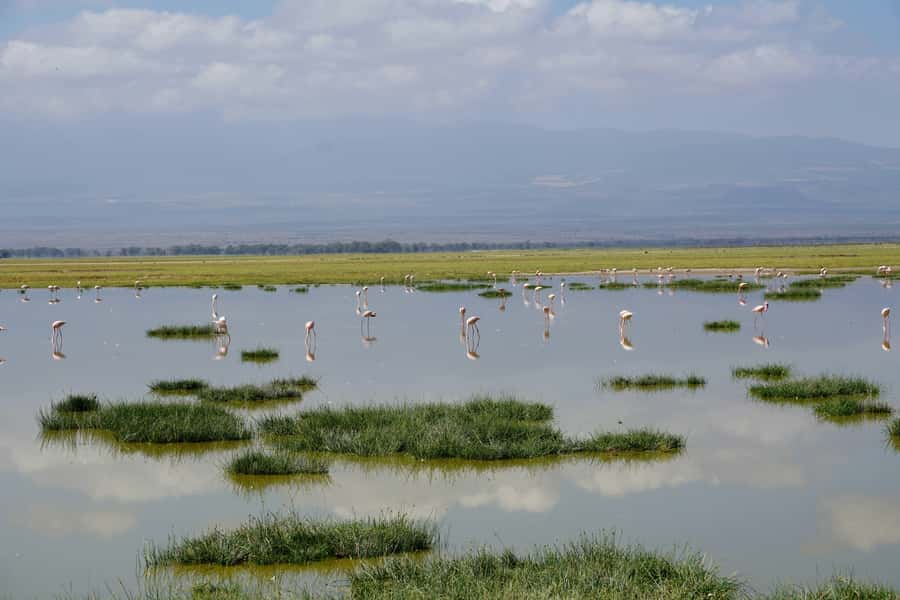 Nairobi: Day Tour to Amboseli National Park & Maasai Village - The 4x4 ride from Nairobi
