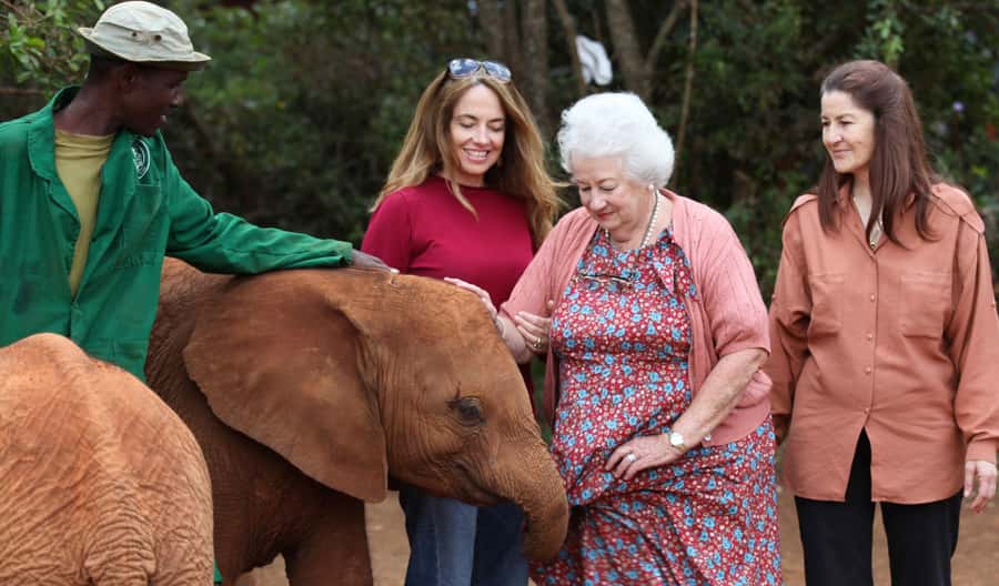 Nairobi: Elephant Sanctuary and Giraffe Center Day Tour - The morning pickup and drive through Nairobi