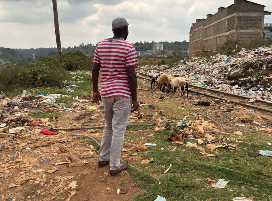 Nairobi: Explore Kibera Slum with Local Guides - Meeting the guides at Prestige Plaza