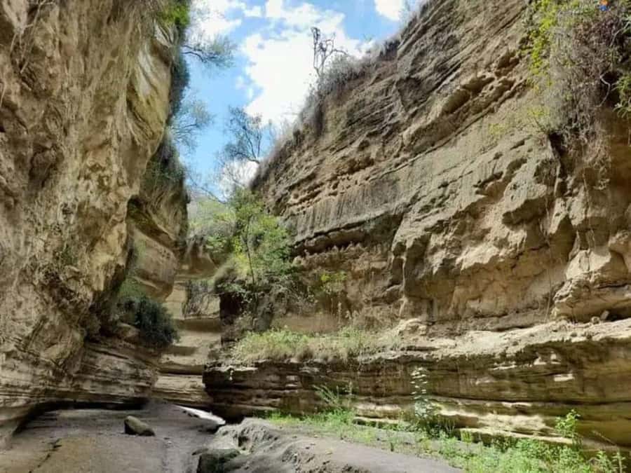 Nairobi: Hell's Gate National Park and Lake Naivasha Tour - Key points to know before booking