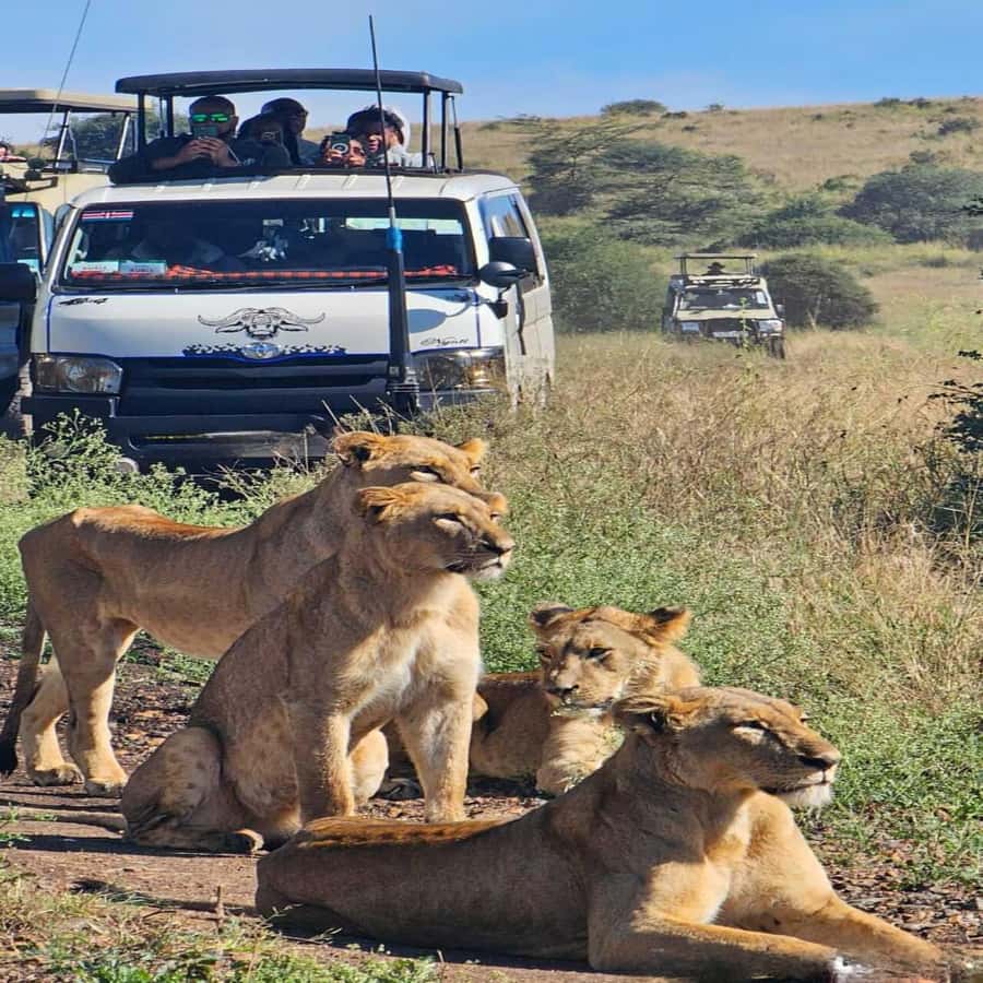 Nairobi National Park 5-hour Guided Game Drive Free Pick up - Key points to know before booking
