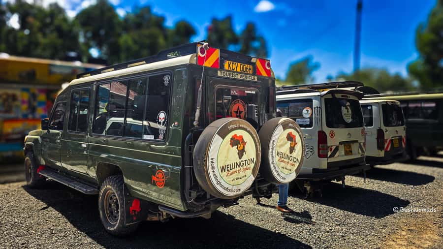 Nairobi National Park 5-hour Guided Game Drive Free Pick up - Guides who improve the experience