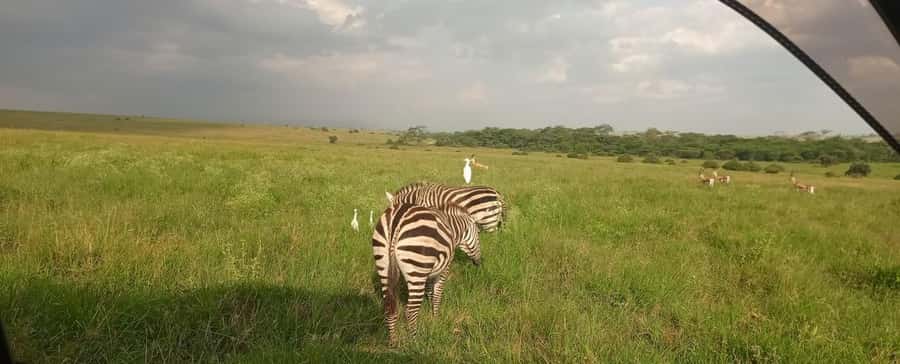 Nairobi National Park 5-hour Guided Game Drive Free Pick up - Booking flexibility and practical details