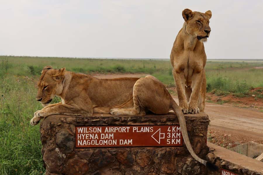Nairobi National Park, Elephant Orphanage and Giraffe Centre - Key points at a glance