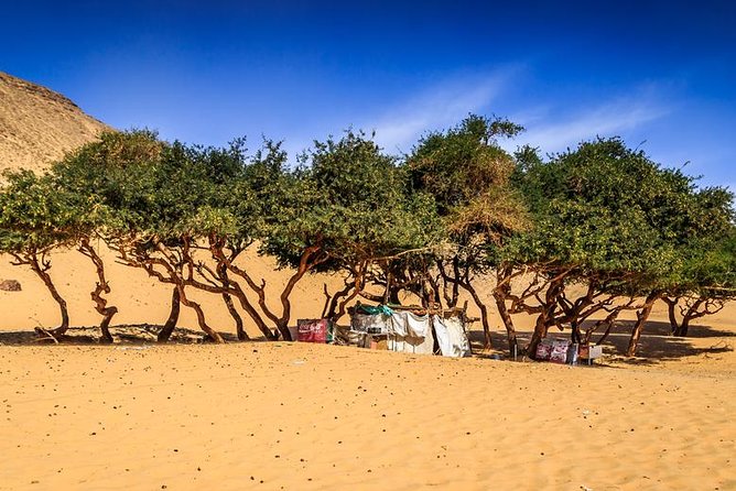 Nubian Village by Motorboat In Aswan - Timing, pace, and practical limits