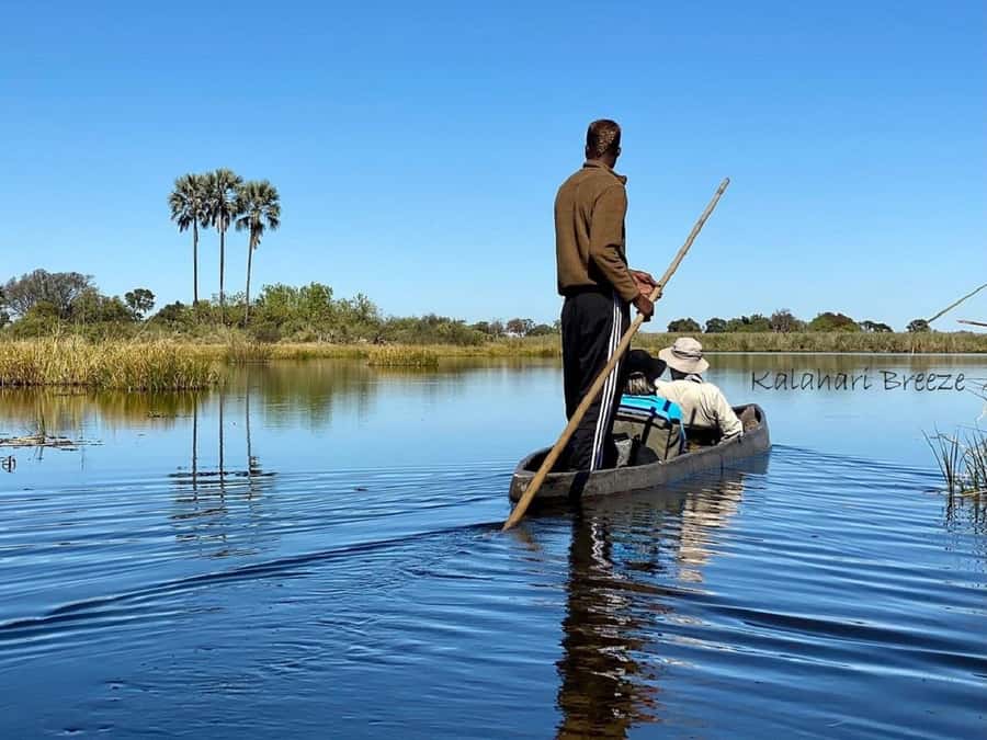 Okavango Delta: Full-Day Mokoro/Canoe Tour All-Inclusive - Why the mokoro gives you a different Okavango day