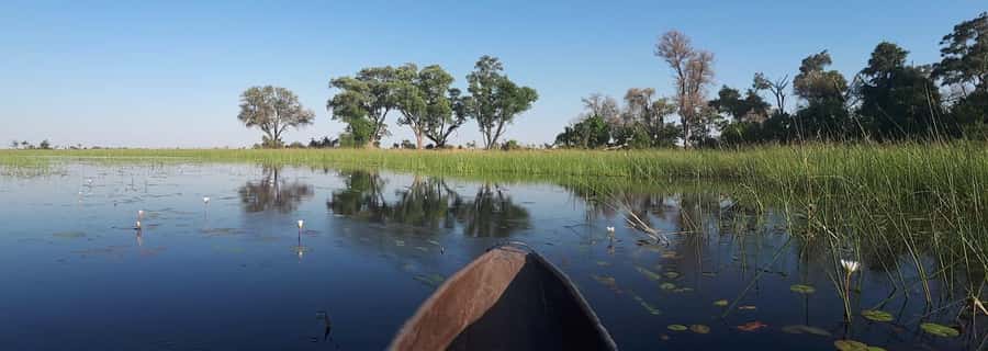 Okavango Delta: Full-Day Mokoro/Canoe Tour All-Inclusive - The return canoe ride and drive back to Maun