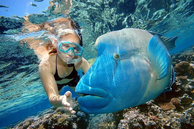 Orange Bay Island Snorkeling Trip With Water Sports - Hurghada - Service is usually warm, but hold your boundaries