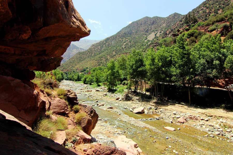 Ourika Valley with Atlas Mountains Day Trip from Marrakech - The driver makes a real difference