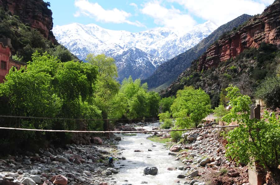 Ourika Valley with Atlas Mountains Day Trip from Marrakech - Argan oil, mint tea, and the local home stop