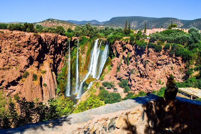 Ouzoud Waterfalls Guided Hike and Boat Trip from Marrakech - Barbary Macaques Add a Wild Element