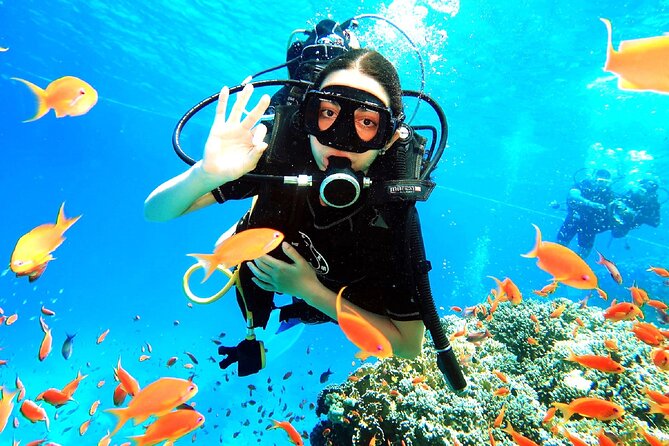 PADI Open Water Diver Course - Learning scuba in Sharm el Sheikh over three days