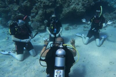 Padi Open Water Diver Course