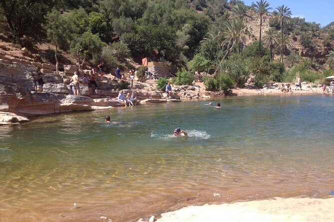 Paradise Valley and Atlas Mountains Adventure in Agadir - Mint tea, honey, and the garden stop