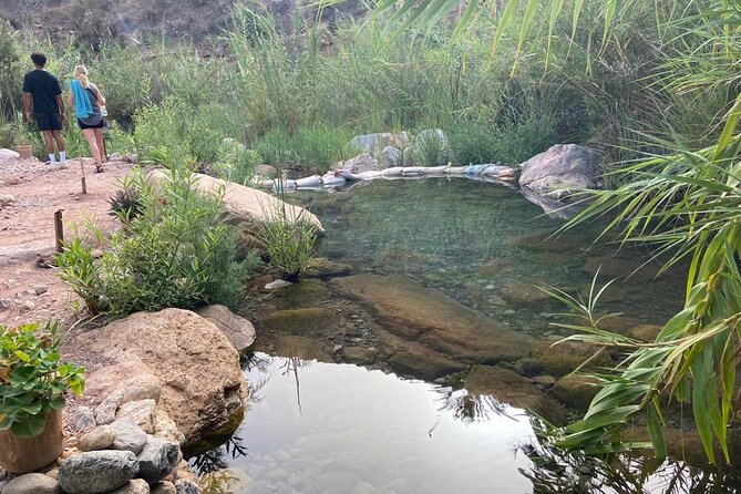 Paradise Valley and Atlas Mountains Adventure in Agadir - Is $29.08 good value?