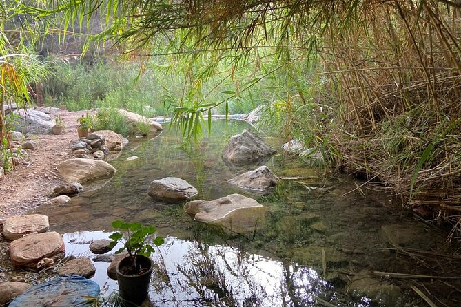 Paradise Valley and Atlas Mountains Adventure in Agadir - Who should book this outing?