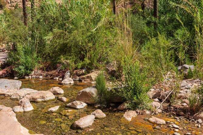 Paradise Valley & Atlas Mountains Adventure with optional LUNCH - Is the optional lunch worth adding?