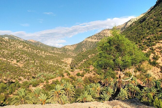 Paradise Valley & Atlas Mountains Adventure with optional LUNCH - Walking into Paradise Valley