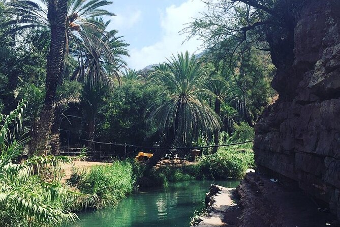 Paradise Valley & The Old Taghazout village Private Tour - From banana country to the Honey Road