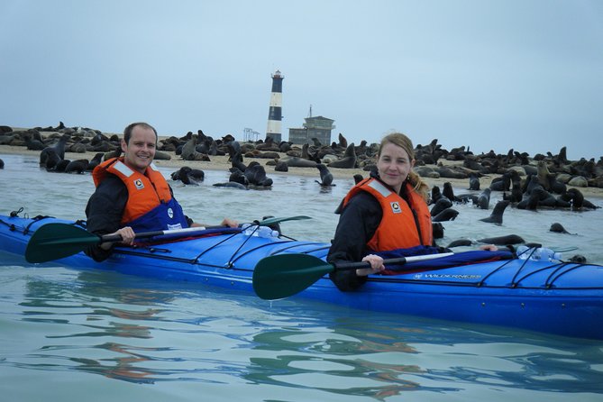 Pelican Point Kayaking Half-Day Tour - Why Pelican Point makes such a good morning trip
