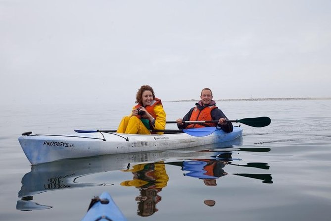 Pelican Point Kayaking Half-Day Tour - The 4x4 ride across the lagoon and salt mines