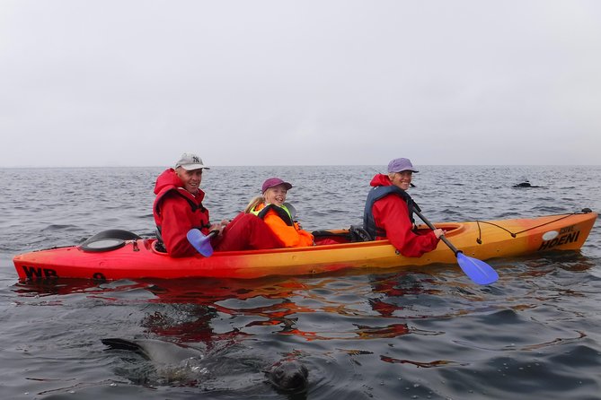 Pelican Point Kayaking Half-Day Tour - What the included gear means on a cool coastal morning