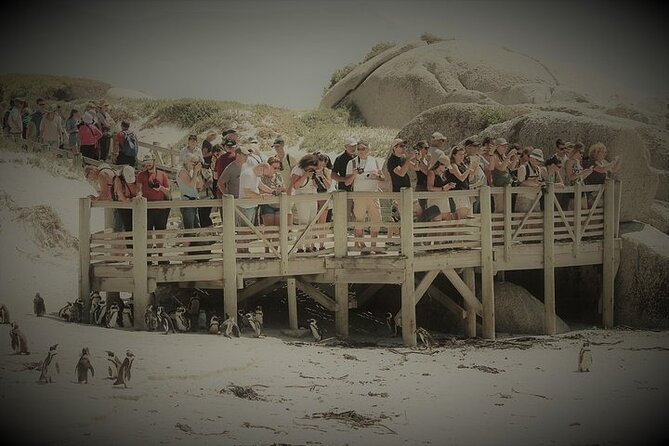 Penguin Encounter Boulders Beach Half Tour Day from Cape Town - What the price includes, and what it does not