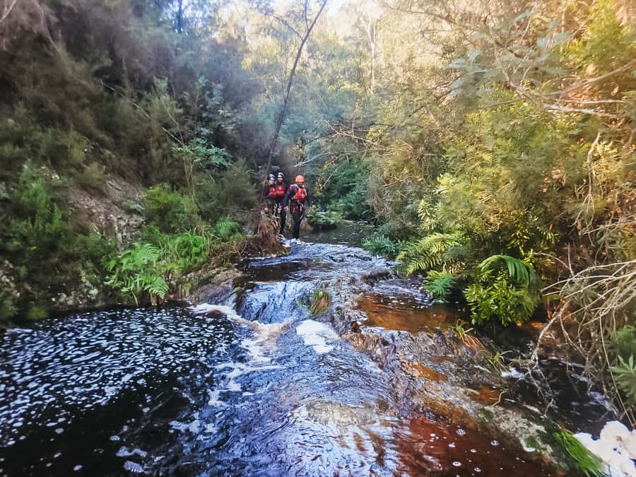 Plettenberg Bay: Canyoning Trip - The 25-metre abseil into the canyon