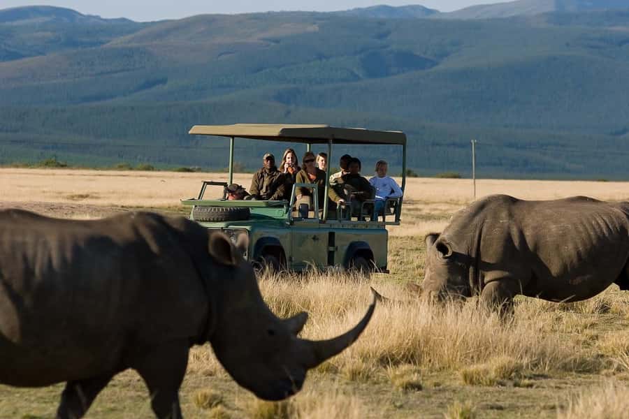 Plettenberg Bay Game Reserve: 2-Hour Game Drive - Arriving at the Safari Center on Uplands Road