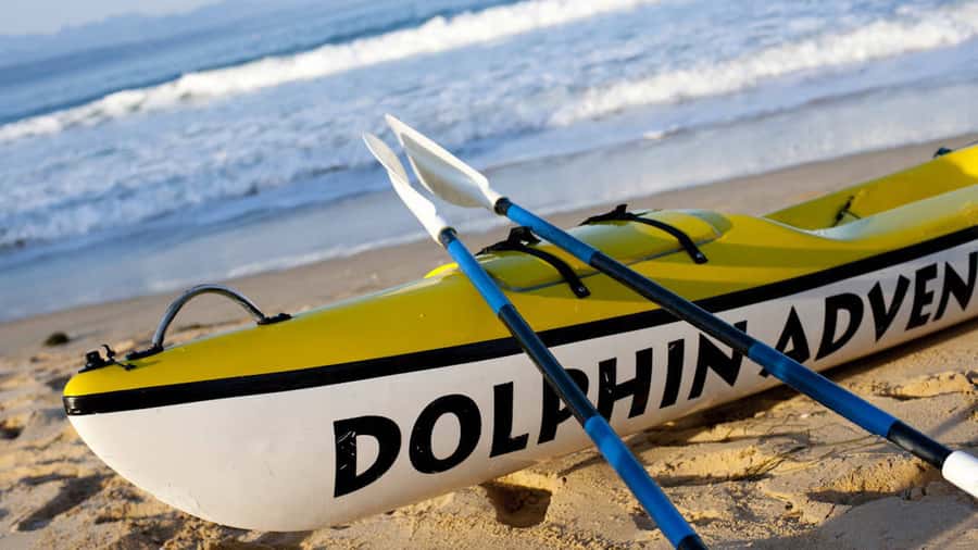 Plettenberg Bay: Guided Sea Kayak Tour - Two hours between mountains and reserve
