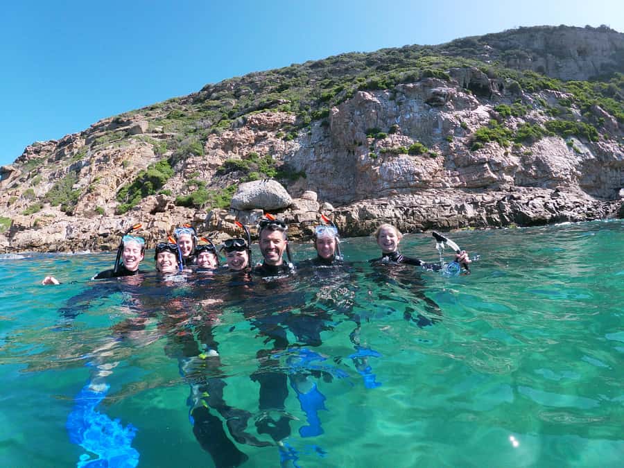 Plettenberg Bay: Swim with Seals - Key points before you book