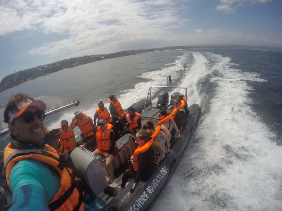 Plettenberg Bay: Swim with Seals - Timing, cancellation, and practical planning