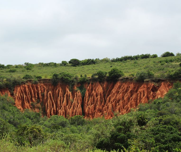 Port Elizabeth: Addo Elephant Park Shore Excursion with BBQ - The northern section adds a second chance for wildlife